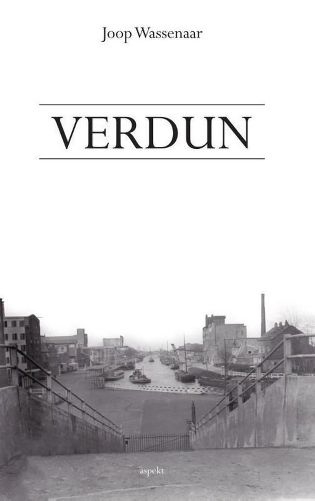 Verdun 9789461534712 Joop Wassenaar, Boeken, Geschiedenis | Wereld, Zo goed als nieuw, Verzenden