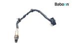 Lambda Sonde Triumph Scrambler 400 X 2024, Verzenden, Gebruikt