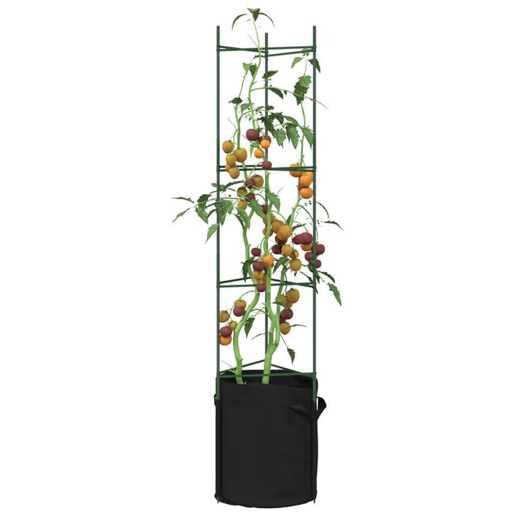 vidaXL Tomatenkooi met plantenzak 2 st 154 cm staal en, Tuin en Terras, Overige Tuin en Terras, Nieuw, Verzenden