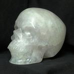 8 Uitzonderlijke menselijke schedel, met de hand gesneden