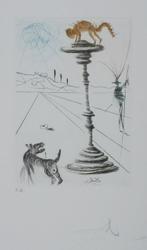 Salvador Dali (1904-1989) - Shakespeare : La Mégère