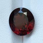 Zonder Minimumprijs Rood Granaat  - 4.72 ct - International, Nieuw