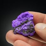 Zeer zeldzaam! Feilloos paarse SUGILITE met intense kleur!, Verzamelen, Mineralen en Fossielen