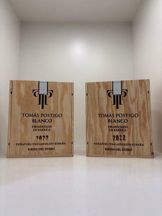 2022 Bodegas Tomás Postigo, Blanco Fermentado en Barrica -, Verzamelen, Wijnen