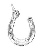 Zilveren Hoefijzer geluk ketting hanger, Verzenden, Nieuw