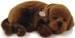 Perfect petzzz Soft labrador chocolate, Ophalen of Verzenden, Zo goed als nieuw