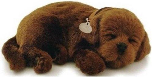 Perfect petzzz Soft labrador chocolate, Kinderen en Baby's, Speelgoed | Knuffels en Pluche, Zo goed als nieuw, Ophalen of Verzenden