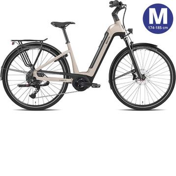 BESV Metallic Steel E-Bike beschikbaar voor biedingen