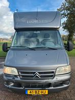Leuke Citroën paardenwagen uit 2006 met 180.000KM!, Ophalen, Zo goed als nieuw, Polyester, 2-paards trailer
