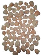 Chippy Pastel schelpen Orange washed 1 kilo, Ophalen of Verzenden, Nieuw