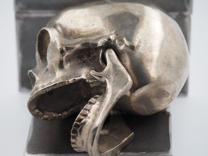 Religieus Barok / Gotisch Vanitas Schedel Dood Grand Tour, Antiek en Kunst, Curiosa en Brocante