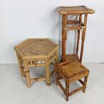 Plantentafel (3) - Rattan, rattan webbing - Vintage