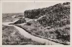 SCHIERMONNIKOOG - Schelpenpad 2de dennen, Verzamelen, Ansichtkaarten | Nederland, Verzenden, Gelopen