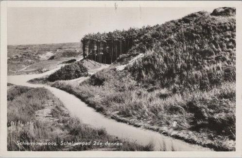 SCHIERMONNIKOOG - Schelpenpad 2de dennen, Verzamelen, Ansichtkaarten | Nederland, Verzenden