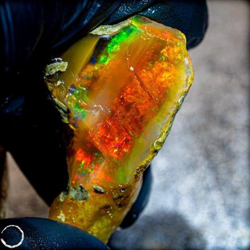 Zeer zeldzame natuurlijke AAA+++ Crystal Opal onbehandeld, Verzamelen, Mineralen en Fossielen