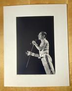 Jan Werner - Freddy Mercury (1946-199199) in concert
