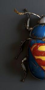 F2B - BeetleCan Superman 3I8
