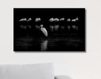 Wanddecoratie Reiger op Canvas – Natuurfoto en Muurdecoratie, Verzenden, Nieuw