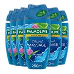 6x Palmolive Douchegel Thermal Mineral Massage 250 ml, Sieraden, Tassen en Uiterlijk, Nieuw, Verzenden