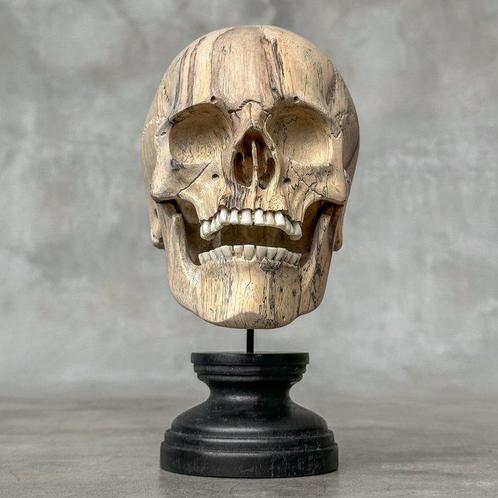 Snijwerk, Stunning Wooden Human Skull With A Beautiful Grain, Antiek en Kunst, Kunst | Designobjecten