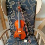 Serafs FV014 4/4 studieviool voor volwassenen, Muziek en Instrumenten, Strijkinstrumenten | Violen en Altviolen, Verzenden, 4/4-viool