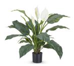 Kunstplant Spathiphyllum Wit | 85cm, Ophalen, Nieuw