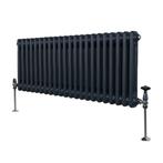 Traditionele 2 Kolom Radiator - 300 x 1012mm - Antraciet, Doe-het-zelf en Verbouw, Verwarming en Radiatoren, Verzenden, Nieuw