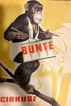 SZEKELY - Circus - monkey - Budapest - HUNGARY - apes,