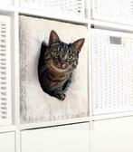 Huisje voor kat! Kattenhuis, past in Ikea Kallax, kattenmand, Dieren en Toebehoren, Katten-accessoires, Nieuw