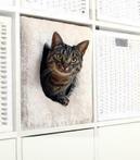 Huisje voor kat! Kattenhuis, past in Ikea Kallax, kattenmand