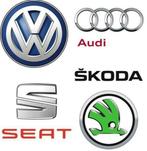 VW Polo ,Skoda,Audi, Seat Egr klep verwijderen P0405, P0403, Nieuw, Skoda