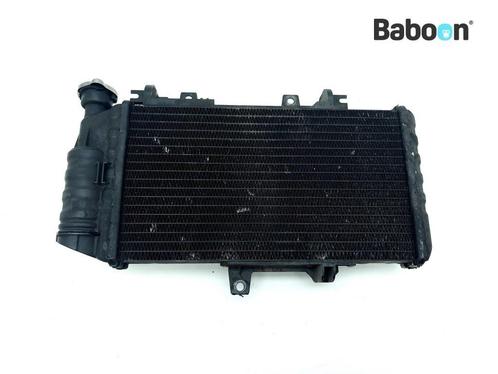 Radiateur BMW F 800 S (F800S) (7678284), Motoren, Onderdelen | BMW, Gebruikt, Verzenden