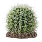 Hobby Terrano Cactus Sonora, Nieuw, Ophalen of Verzenden