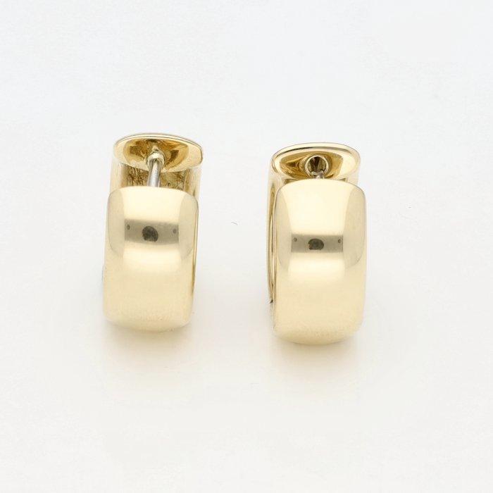 Oorbellen - 18 karaat Geel goud, Sieraden, Tassen en Uiterlijk, Oorbellen