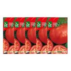 Tomatenzaad | VT | 5 stuks (Saint Pierre), Verzenden