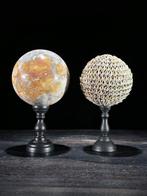 Decoratief ornament - NO RESERVE PRICE - Stunning pair of