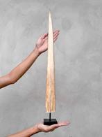 Geen reserveprijs - Indrukwekkende grote zwaardvisrostrum, Antiek en Kunst