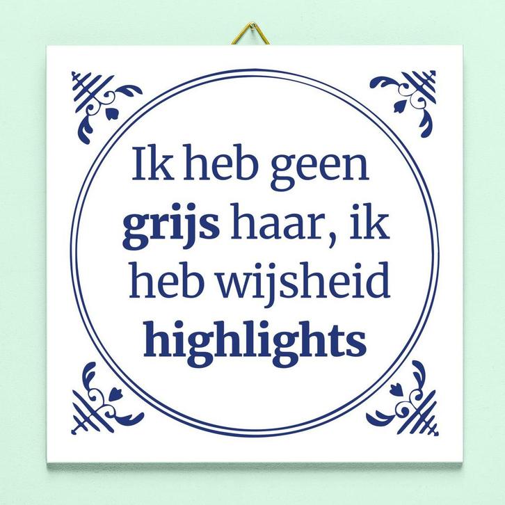 Tegeltje Ik heb geen grijs haar, ik heb wijsheid highlights, Huis en Inrichting, Woonaccessoires | Wanddecoraties, Verzenden