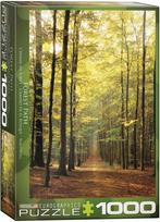 Forest Path Puzzel (1000 stukjes) | Eurographics - Puzzels, Hobby en Vrije tijd, Denksport en Puzzels, Verzenden, Nieuw