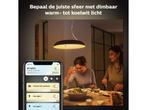 Philips Hue Amaze - Hanglamp - Draadloos dimbaar - Wit, Verzenden, Zo goed als nieuw