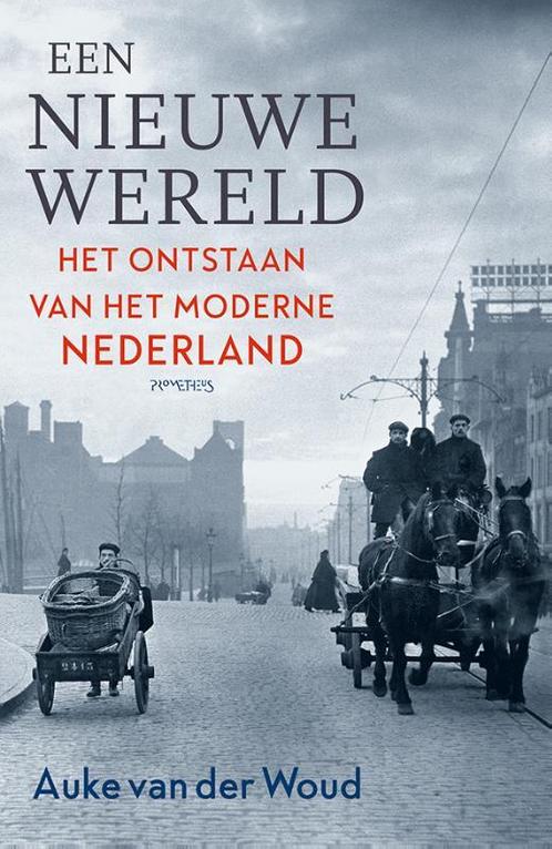 Een nieuwe wereld 9789035145320 Auke van der Woud, Boeken, Geschiedenis | Wereld, Gelezen, Verzenden