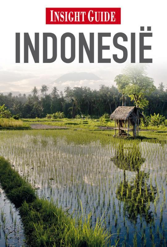 Indonesie / Insight guides 9789066554269, Boeken, Reisgidsen, Gelezen, Verzenden