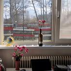 Furnished Studio in Groningen gevonden in Groningen, Huizen en Kamers, Direct bij eigenaar, Groningen, Groningen, Studio