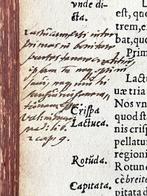 Fuchs - De Historia Stirpium - 1546, Antiek en Kunst