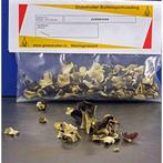 Judasoren - Globetrotter