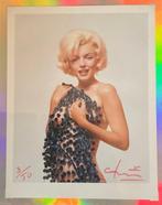 Bert Stern (1929–2013) - The last sitting