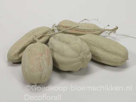 Jhinga fruit Green 10 st Zaaddozen, Hobby en Vrije tijd, Knutselen, Nieuw, Ophalen of Verzenden