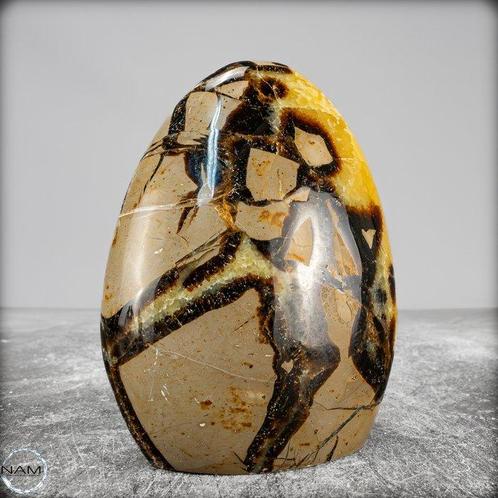 Natuurlijke septarie van eerste kwaliteit Vrije vorm- 786.67, Verzamelen, Mineralen en Fossielen