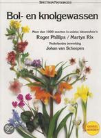 Bol- en knolgewassen / Spectrum natuurgids 9789027492739, Boeken, Verzenden, Gelezen, Rod Phillips