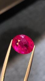 Zonder Minimumprijs - 1 pcs Paars, Rood, Violet Robijn,, Nieuw